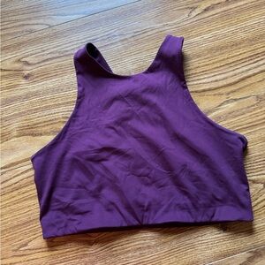 Purple Cropped Bra Top